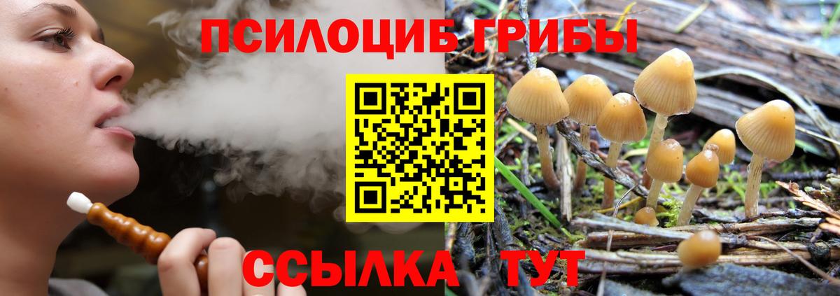 Псилоцибиновые грибы GOLDEN TEACHER  Вход с VPN  Галлюциногенные грибы Cubensis  наркошоп  Славянск-на-Кубани 